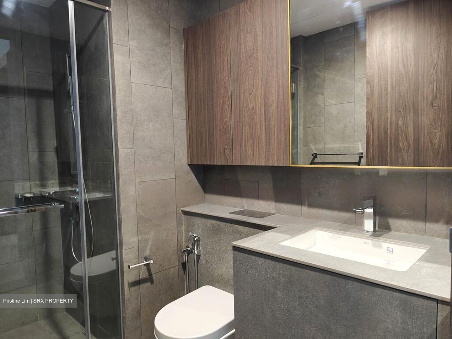 Midtown Modern (D7), Apartment #463505111